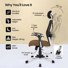 SAVYA HOME Apollo High Back Ergonomic Office Chair/Chair for Office Work at Home/Study Chair for Adults/Office Chairs for Work from Home/Chair for Study Table/Computer Chair/2D Lumbar Support-Beige