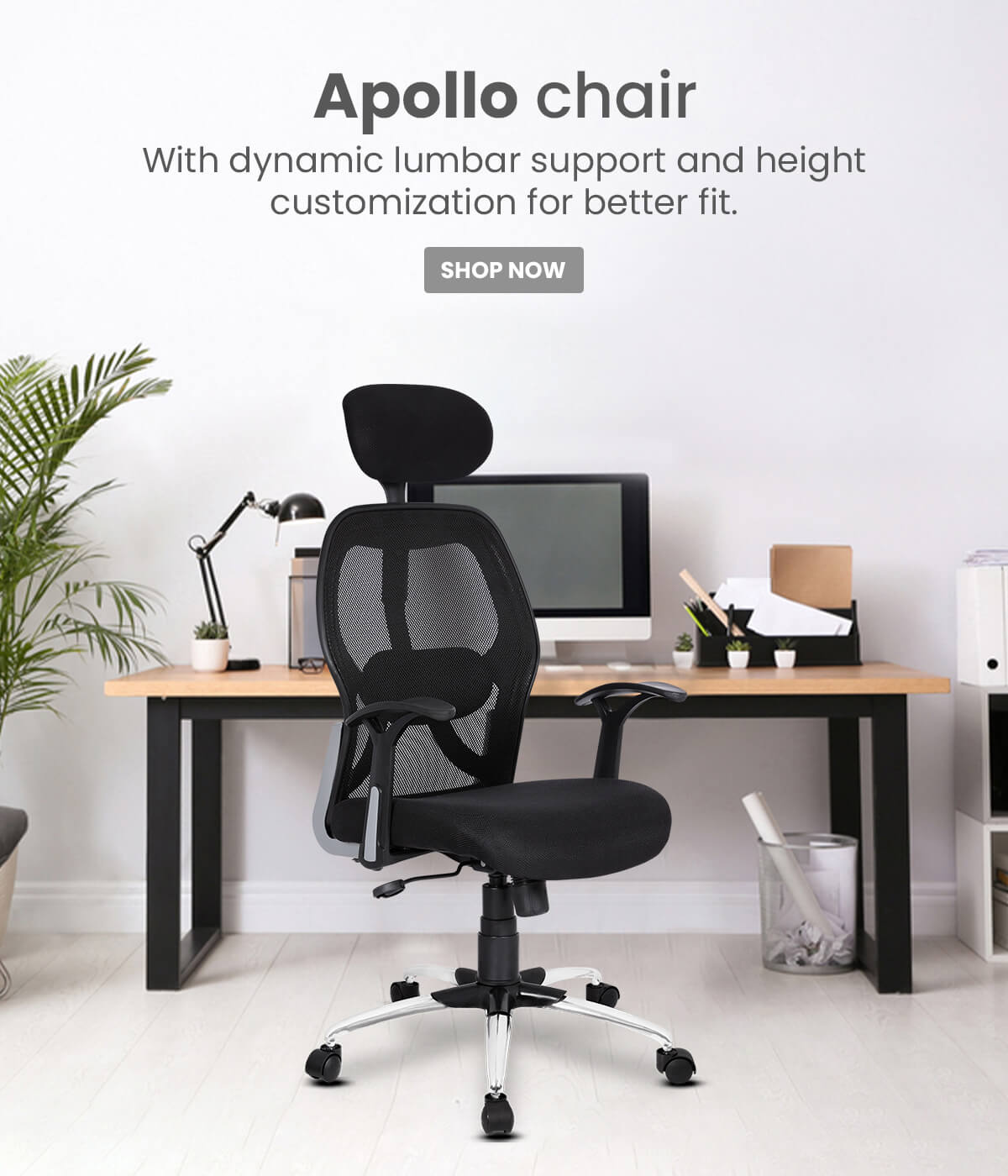 Savya home website Clearance