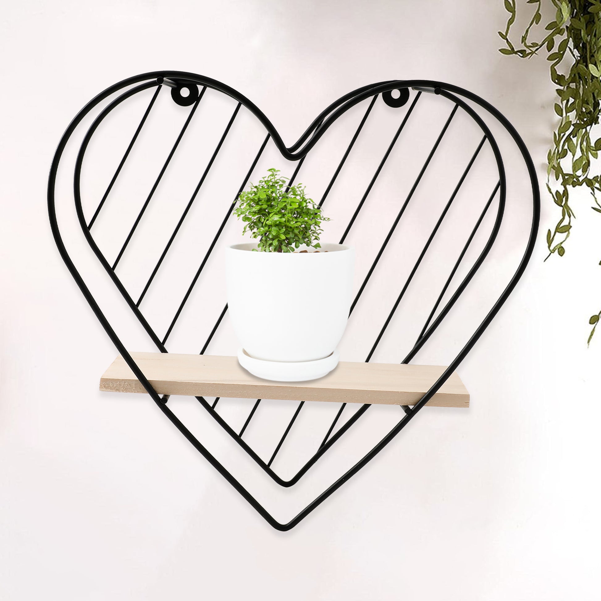 SAVYA HOME wall shelf - versatile storage solution