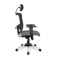 SAVYA HOME Beatle High Back Ergonomic Office Chair with Adjustable Arms and 2D Lumbar Support (Ergonomic Meshback) (Grey)